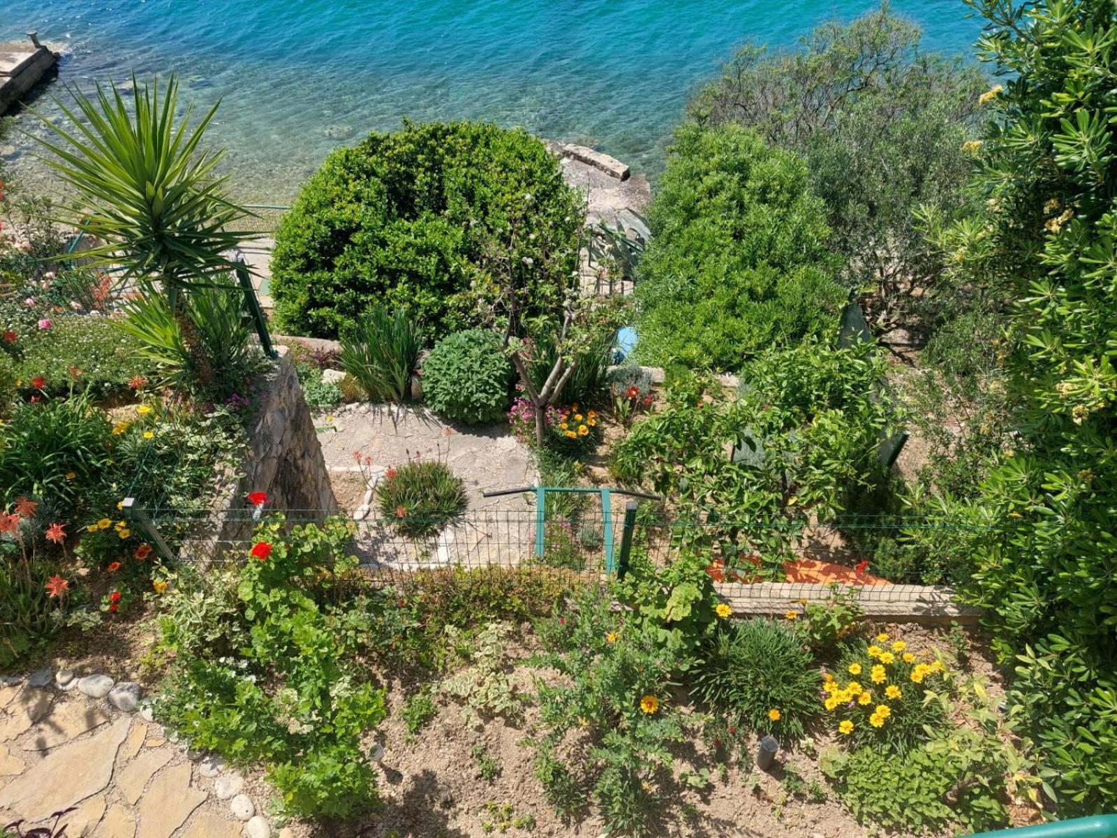Apartment Toncica Omiš Exteriör bild